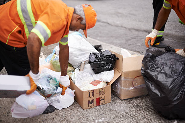 Best Demolition Debris Removal in Canby, MN